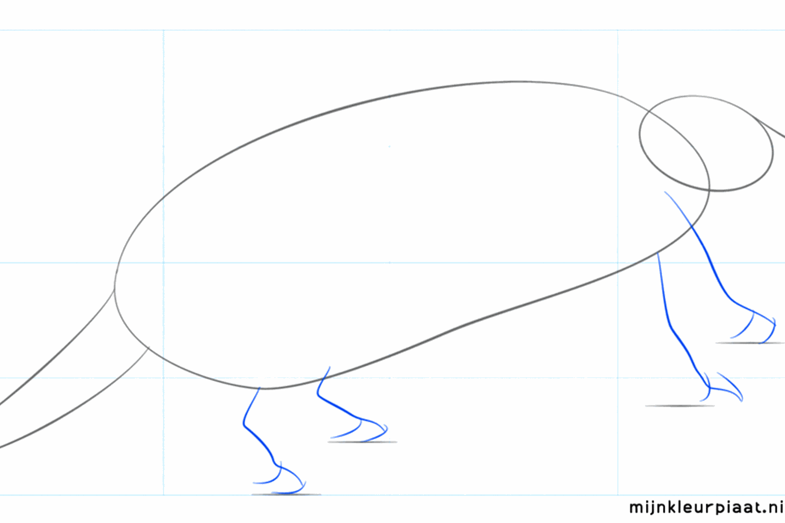 The body of the armadillo with a long tail at the back.