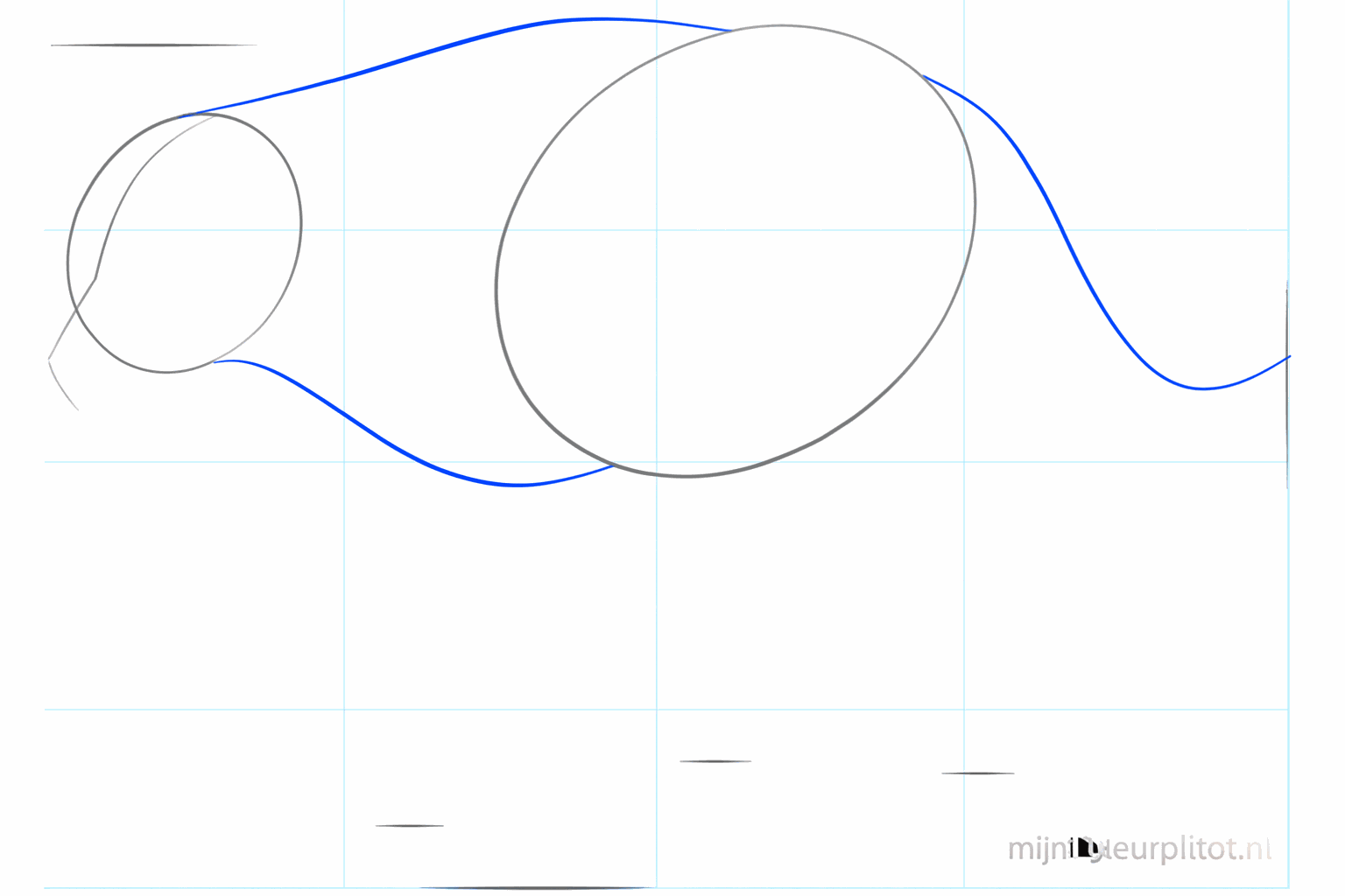 The neck lines and a tail line connecting the head to the body.