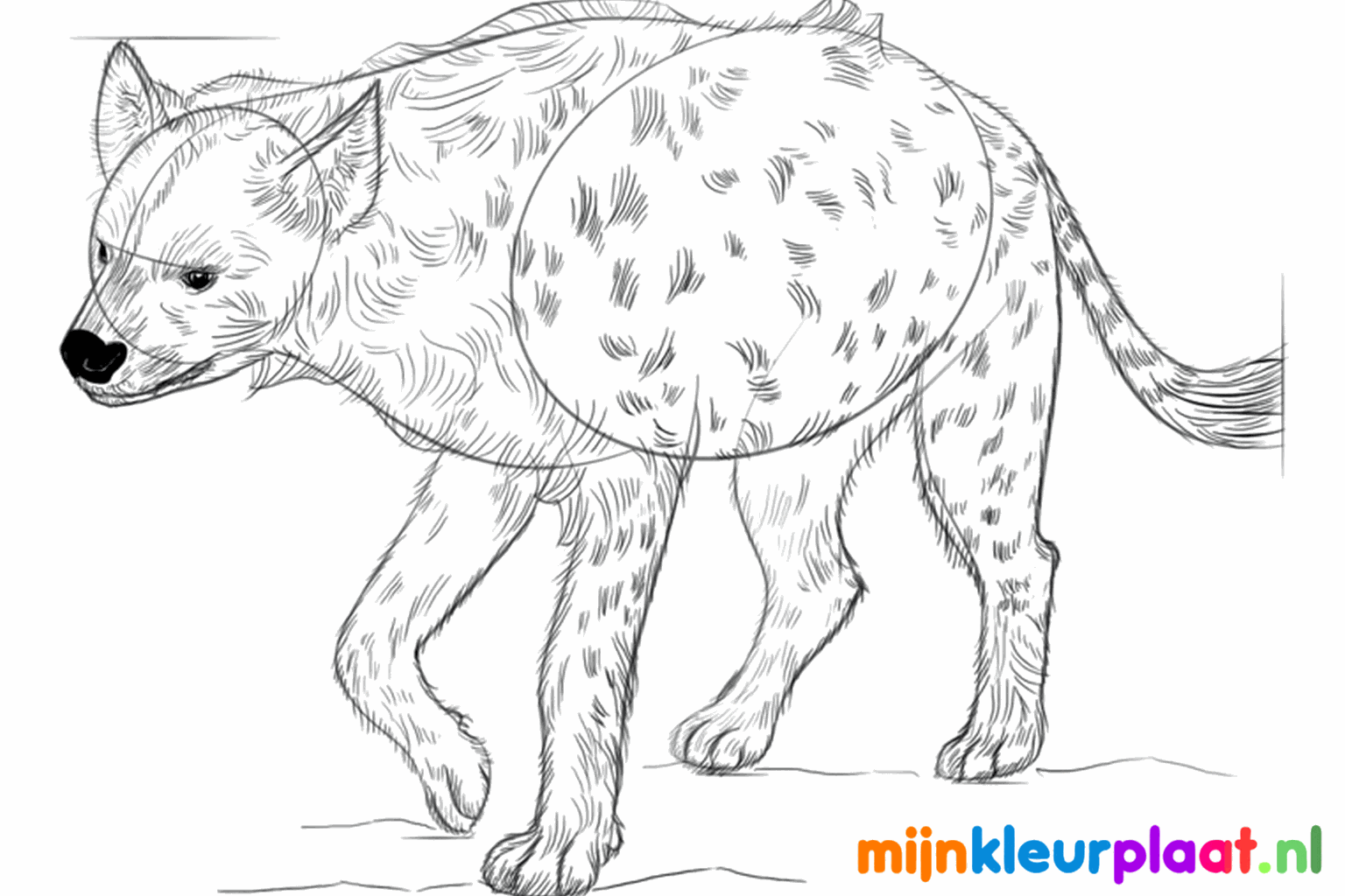 The hyena gets spots and small strokes that look like hairs.