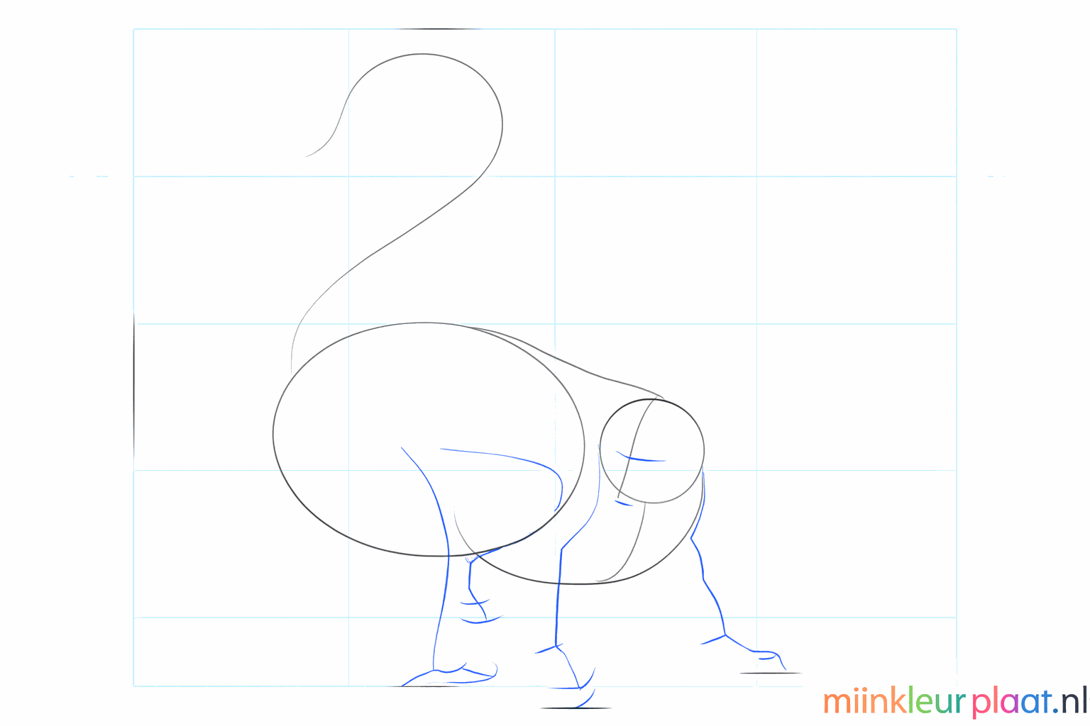 Guide lines for the legs and the face of the ring-tailed lemur.