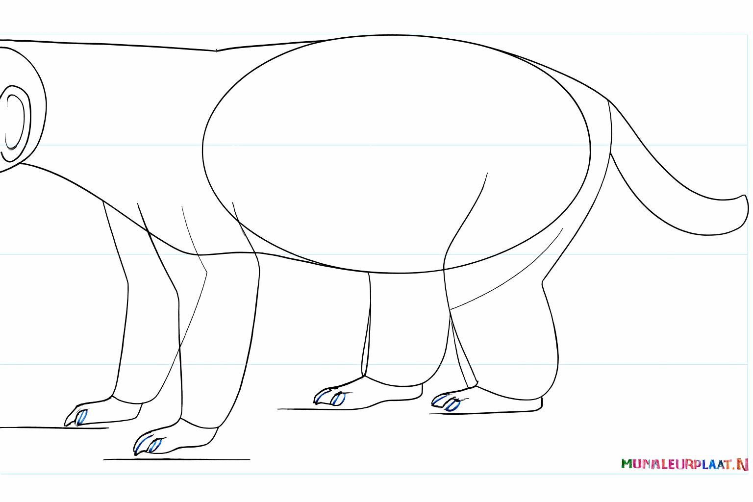 Details of the face such as the eye, nose, and mouth line.