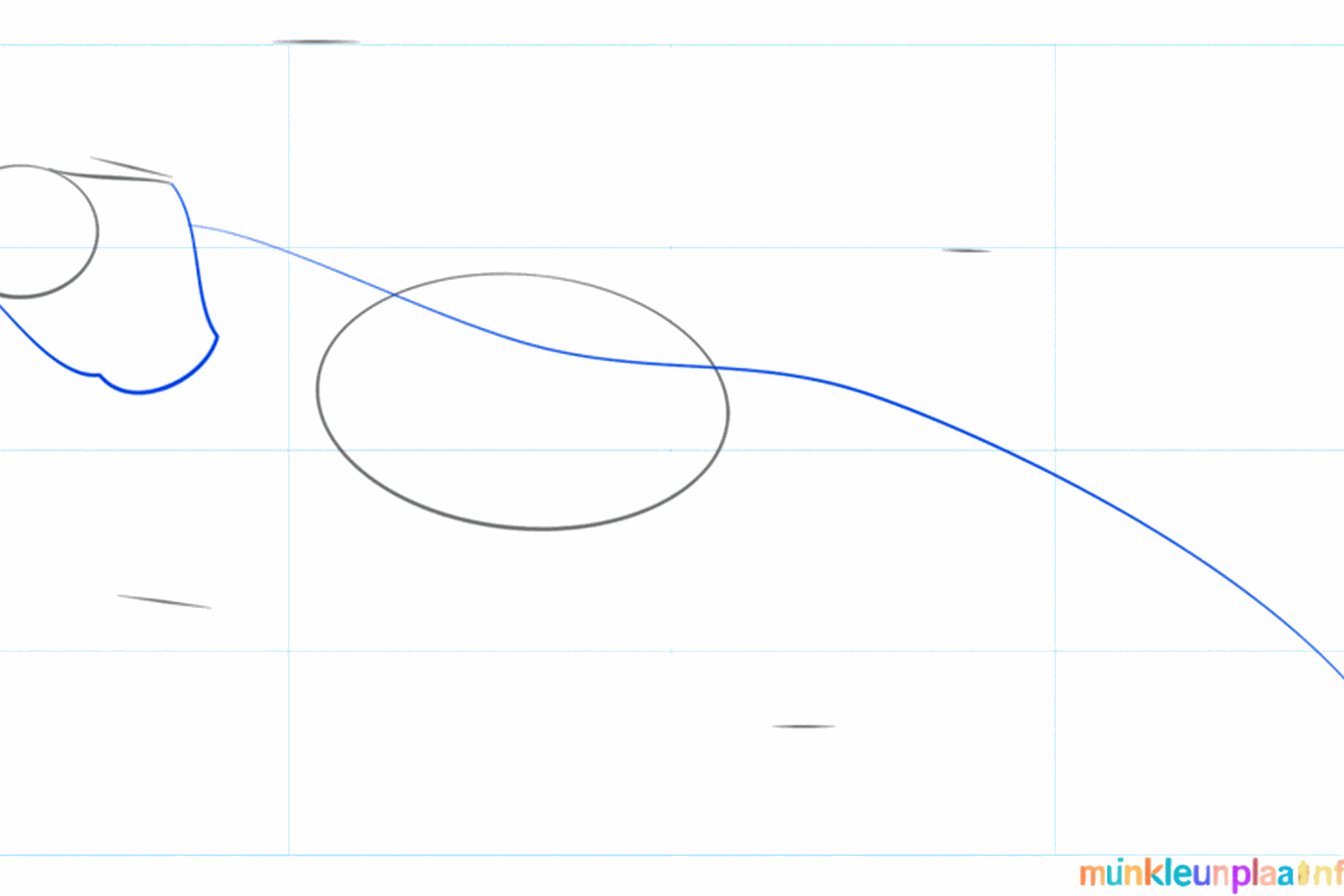 Guide lines for the neck and a long tail line of the bearded dragon.