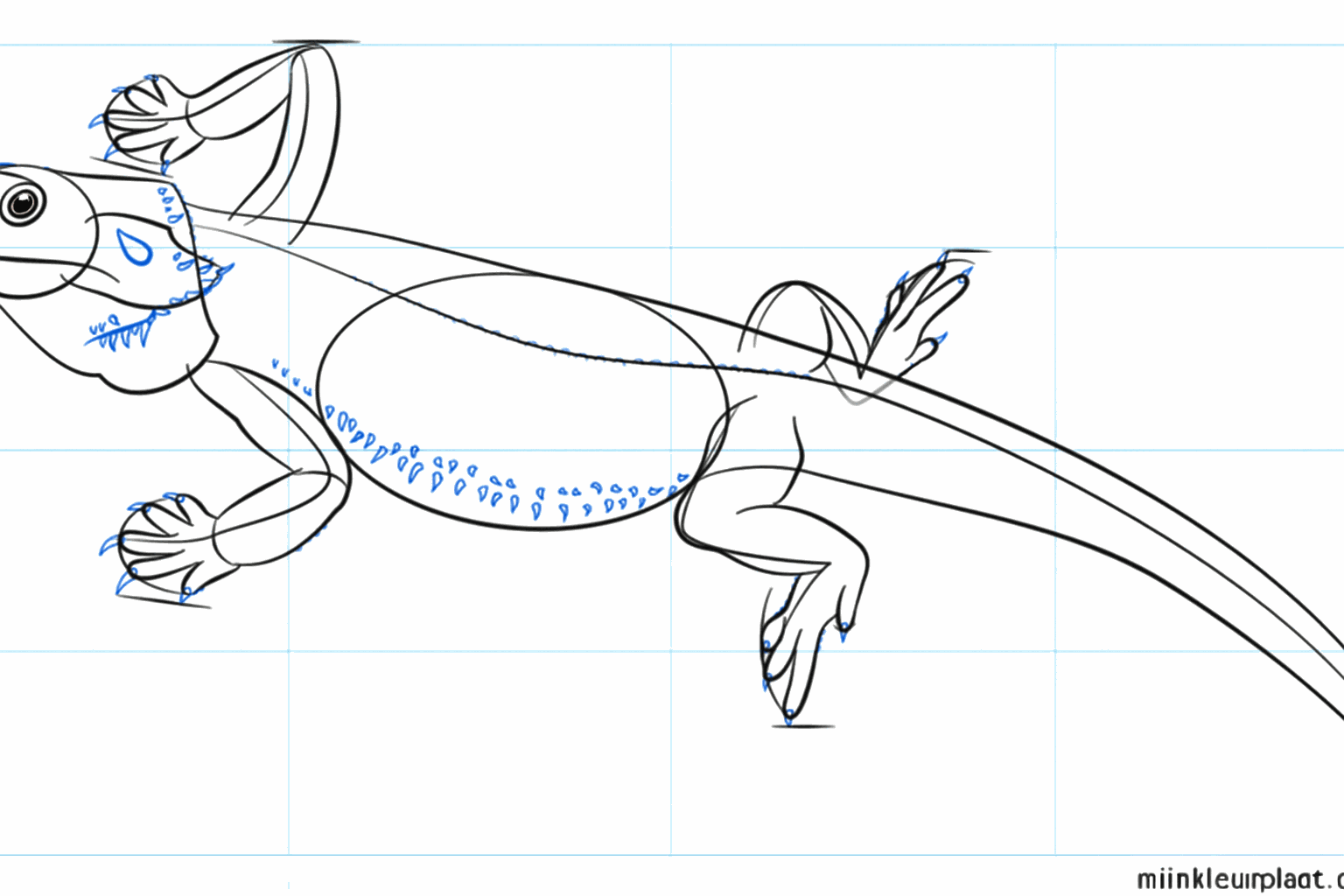 Long toes on the legs and details near the lizard's eye.