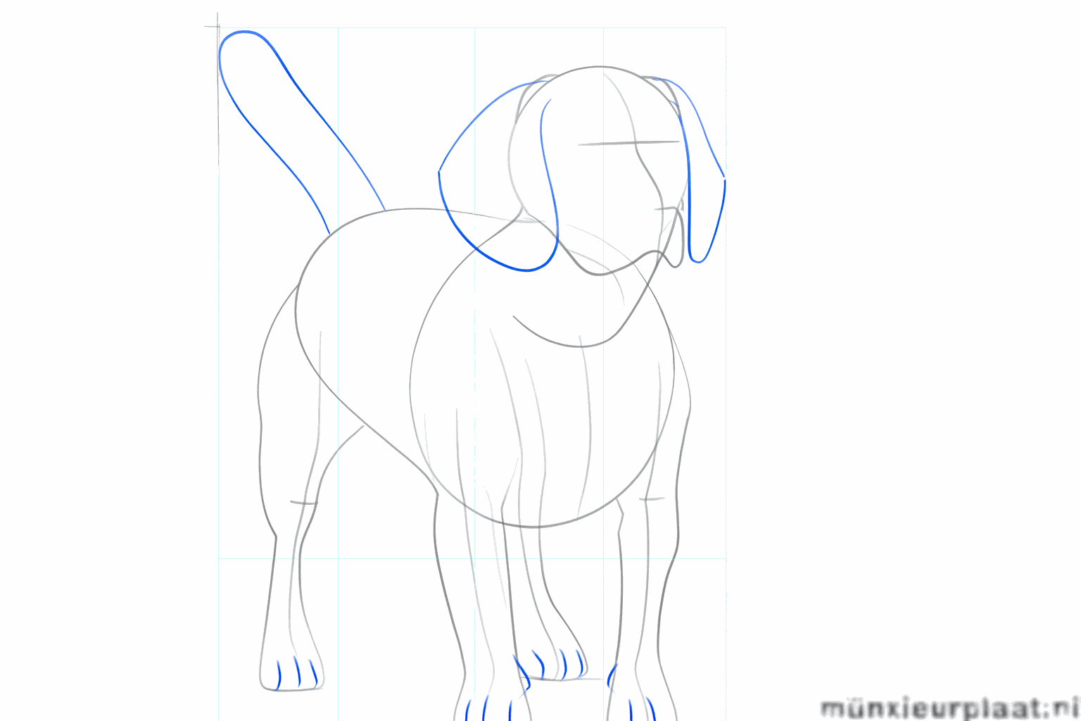 Long floppy ears on the head and round shapes for the dog paws.