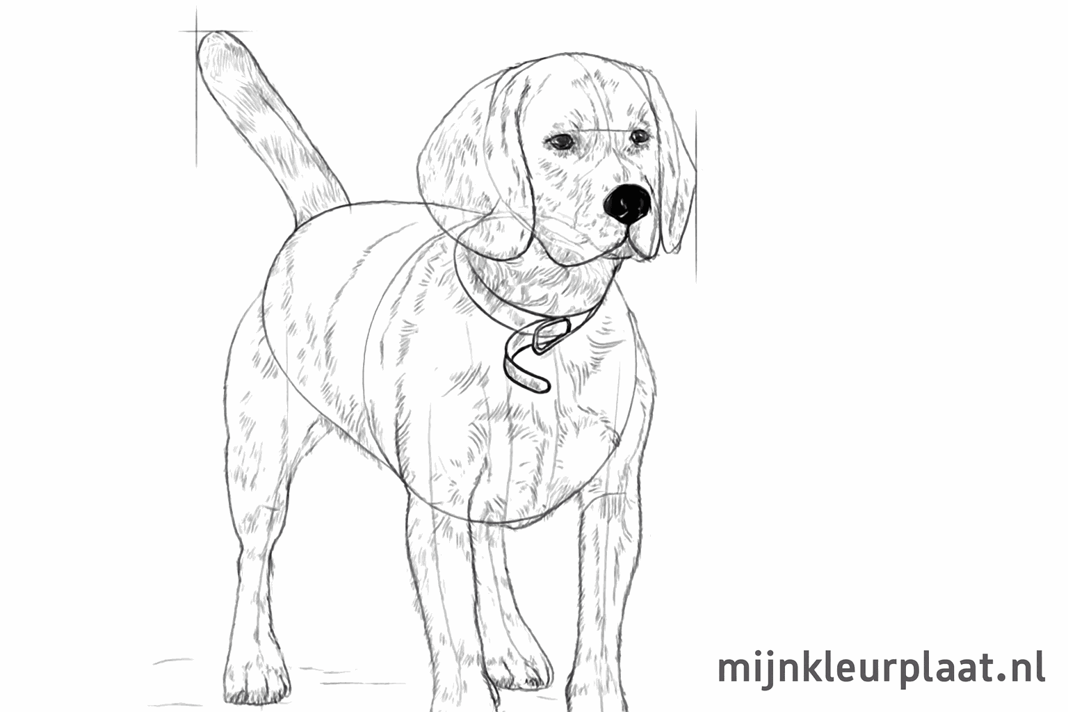 Refinement of the head and paws with small details.