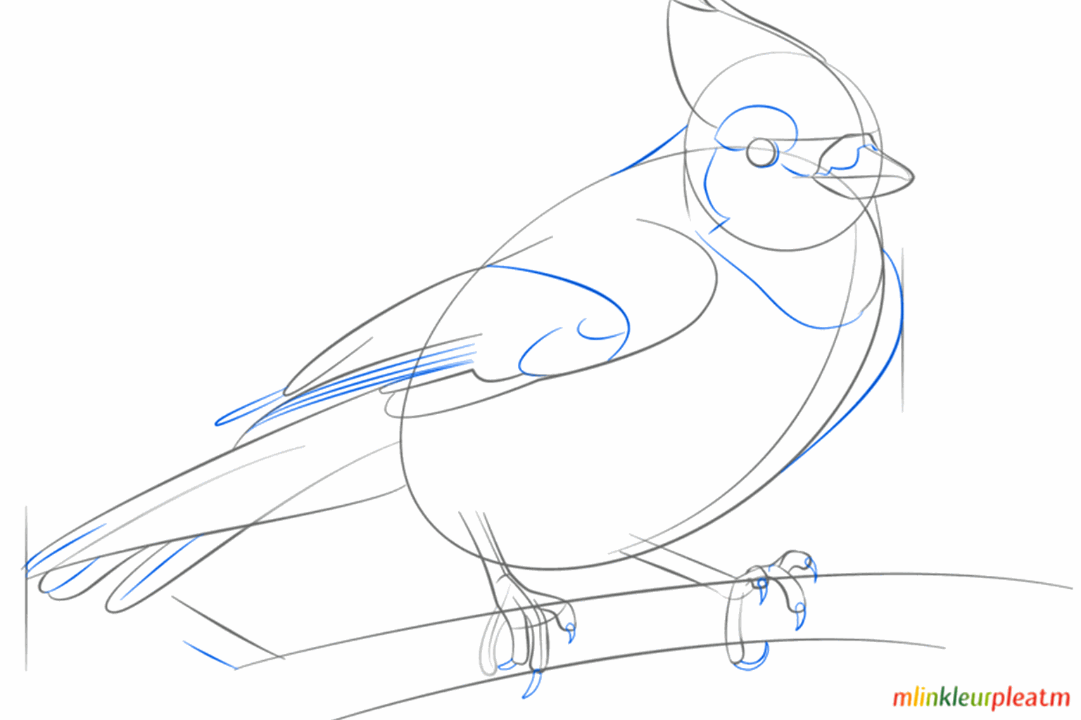 The bird gets a pointy crest and an eye in the round head.