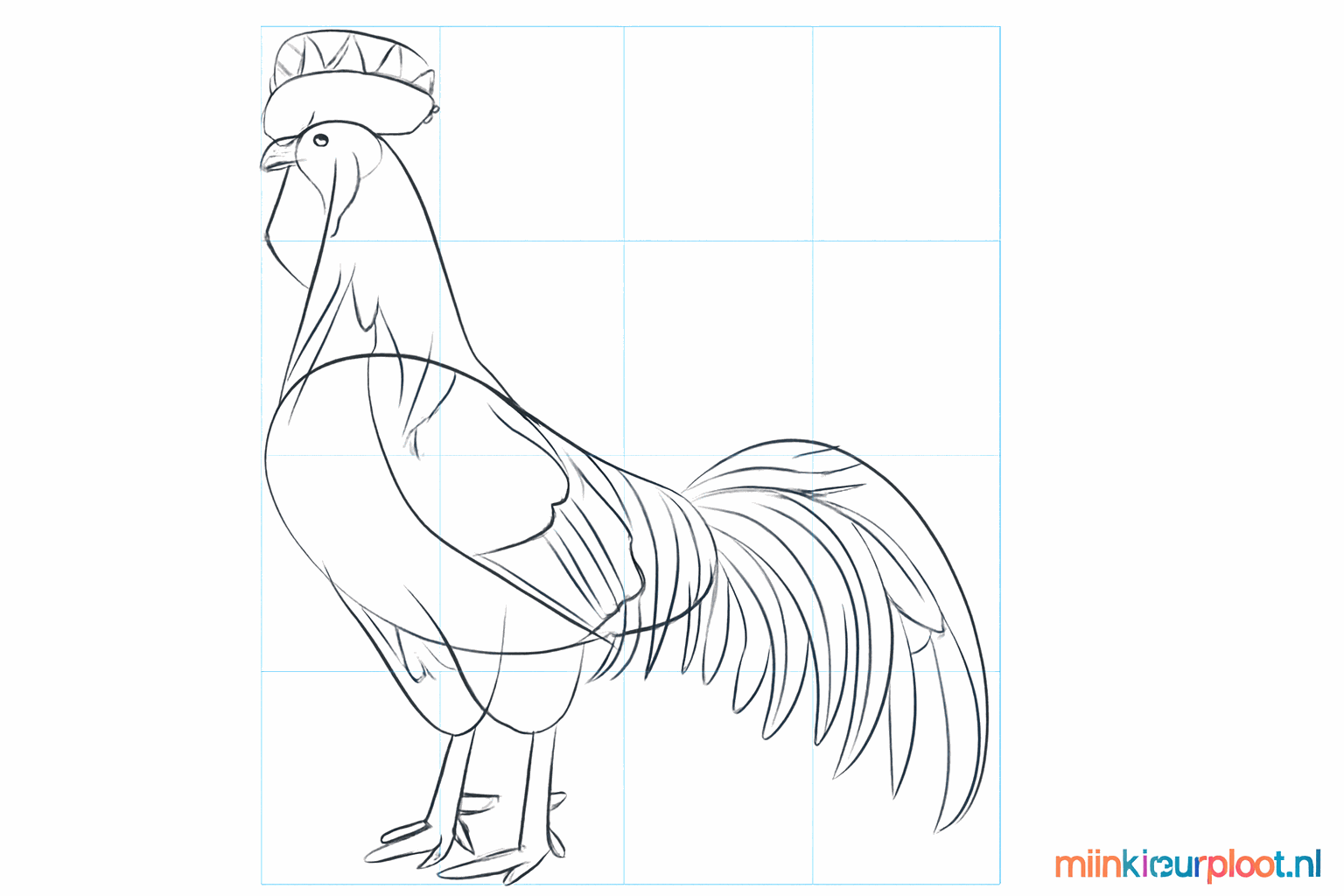 Details of the legs with toes and feathers on the wing.