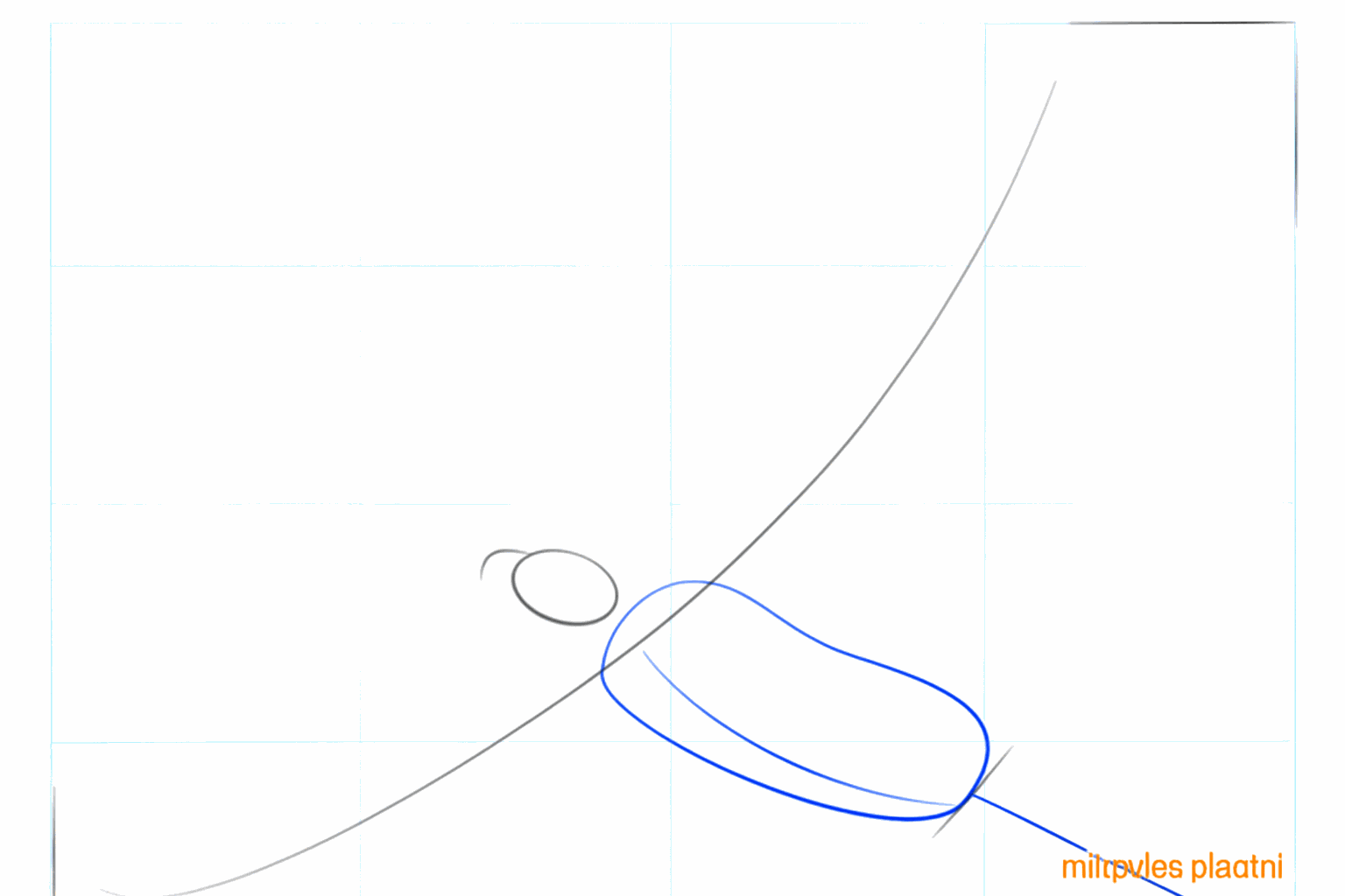 A large oval indicating the body and tail of the eagle.