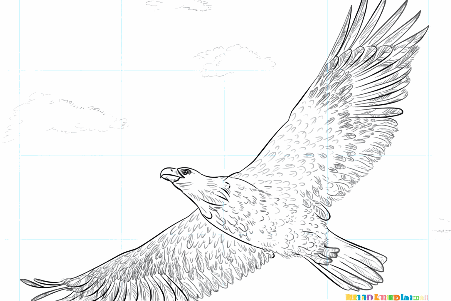 Drawing a cool eagle step-by-step