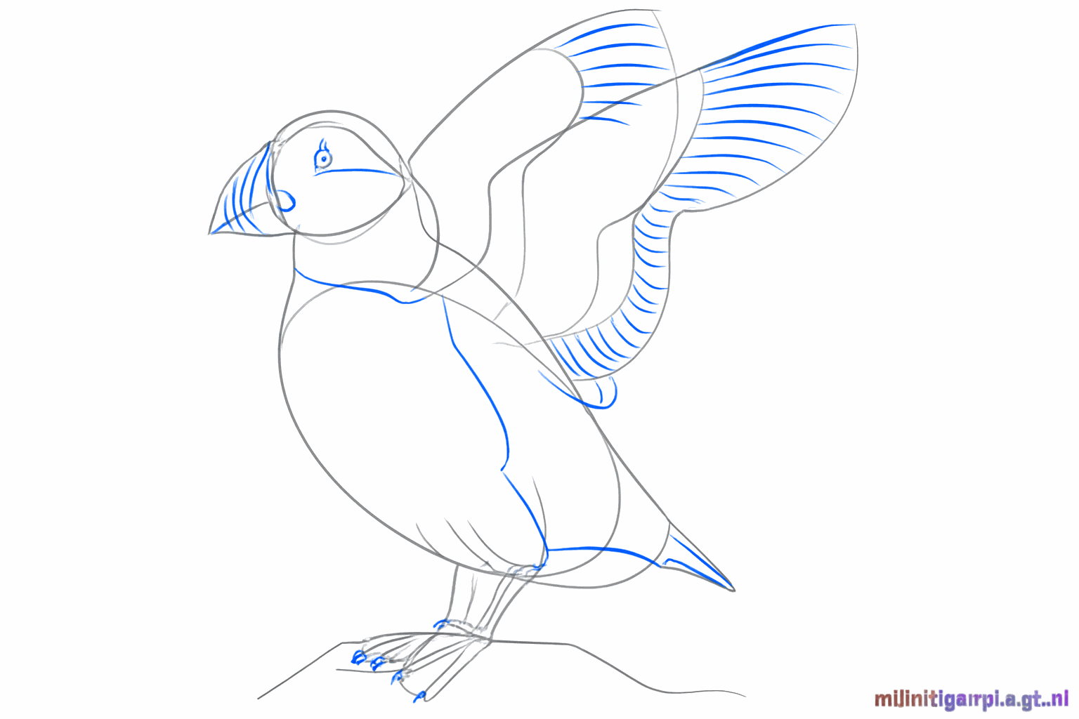 A small eye in the head and little toes at the bottom of the bird.