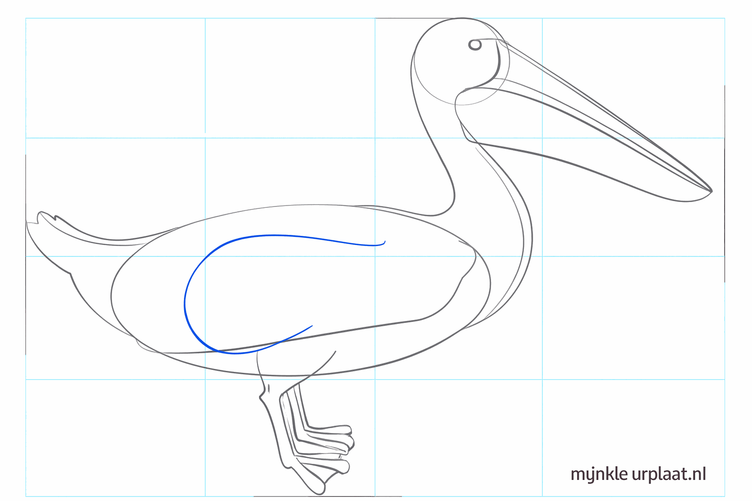 The characteristic beak pouch and the back of the pelican become visible.