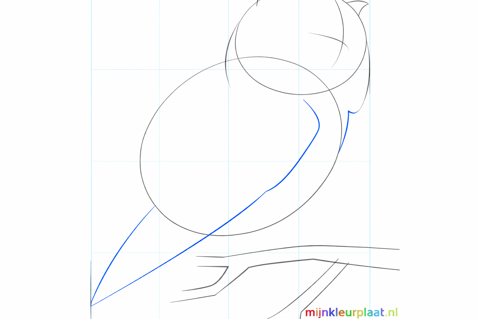 The wing and neck of the owl drawn with fluid lines.