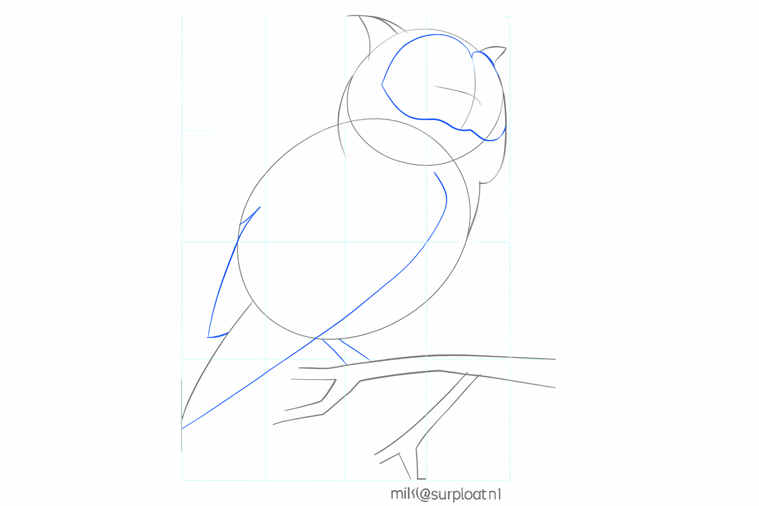 The owl's face takes shape and the start of the legs is visible.