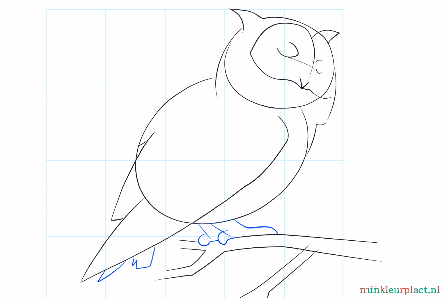 Details of the face with eyes, beak, and the owl's tail.