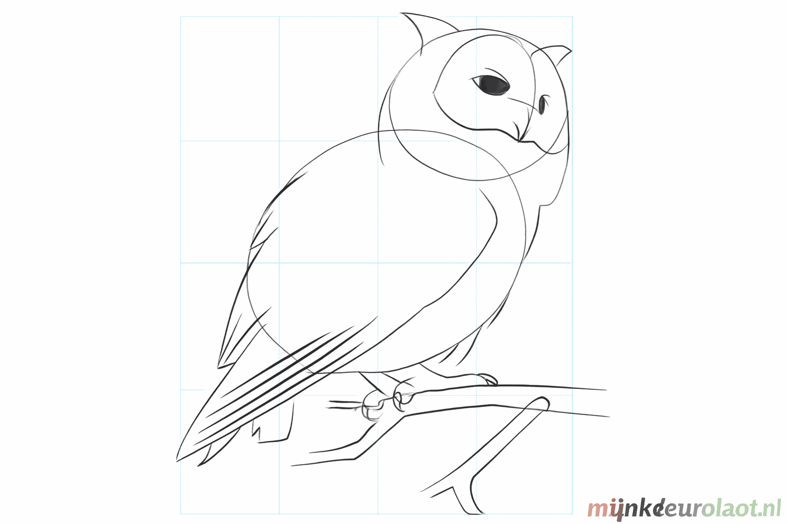 The owl's legs with claws holding onto the branch.