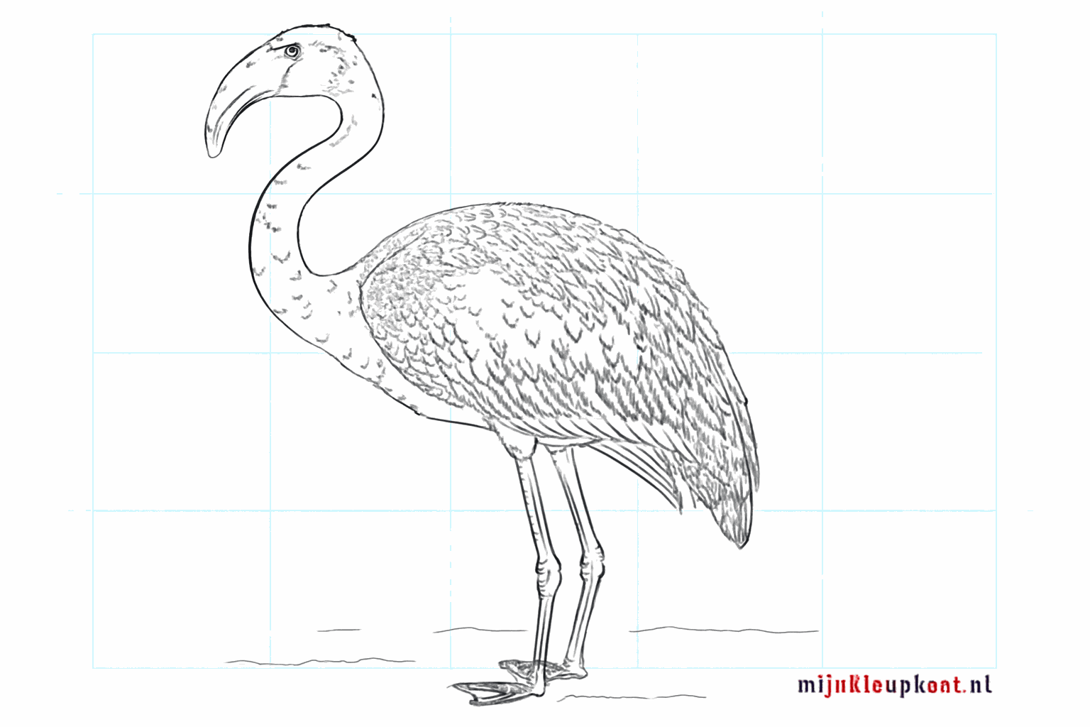 Drawing a cheerful flamingo: step-by-step explanation