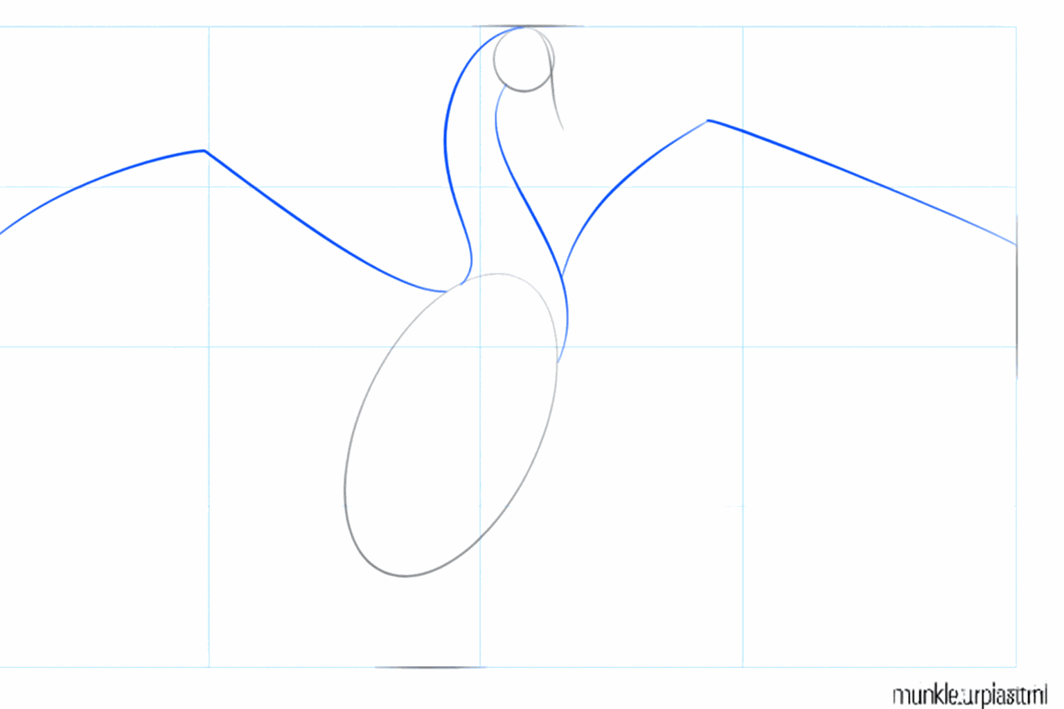 Two curved lines connecting the head and the body of the swan.