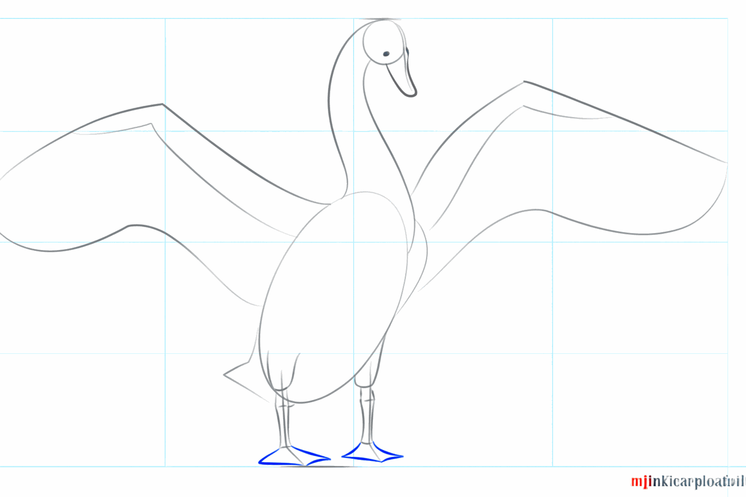 Drawing of wide legs with webbed feet at the bottom of the swan.