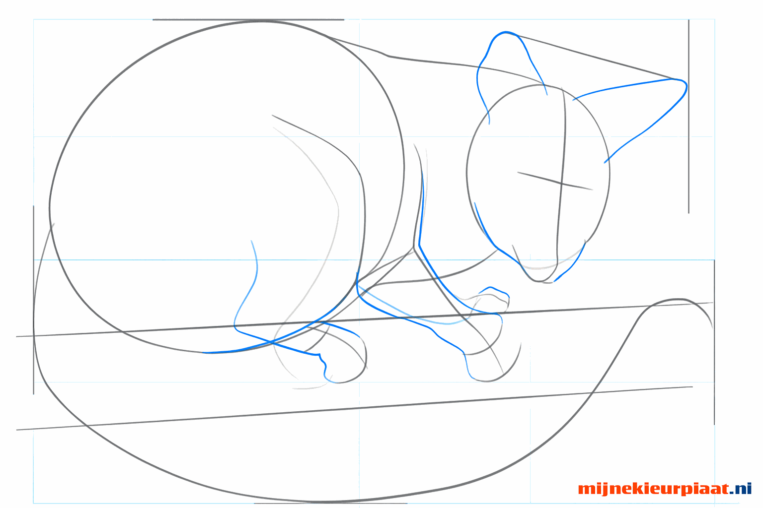 Schets van de snuit, ronde oren en de aanzet van de vier poten.