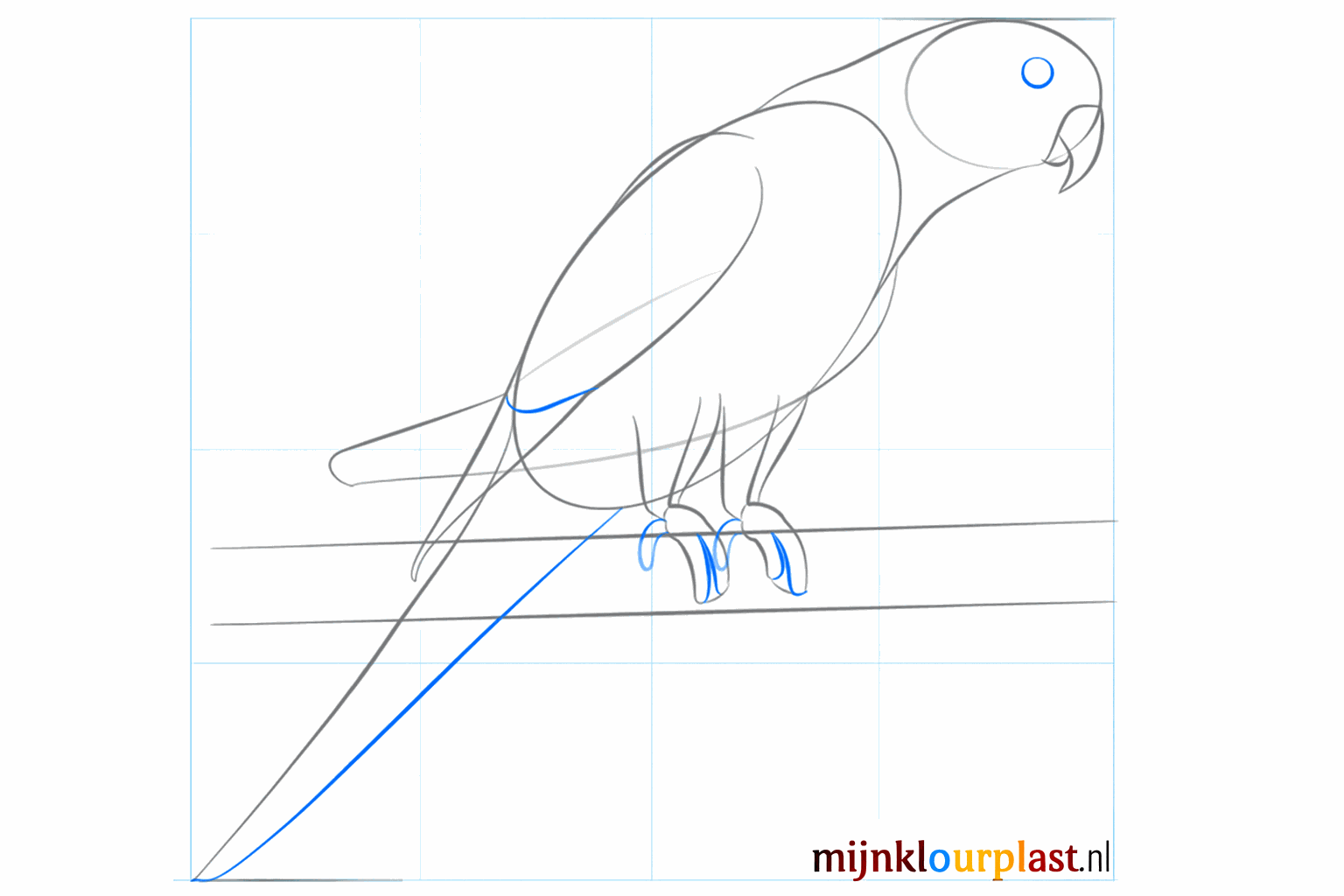 A large oval shape on the side of the body for the wing.