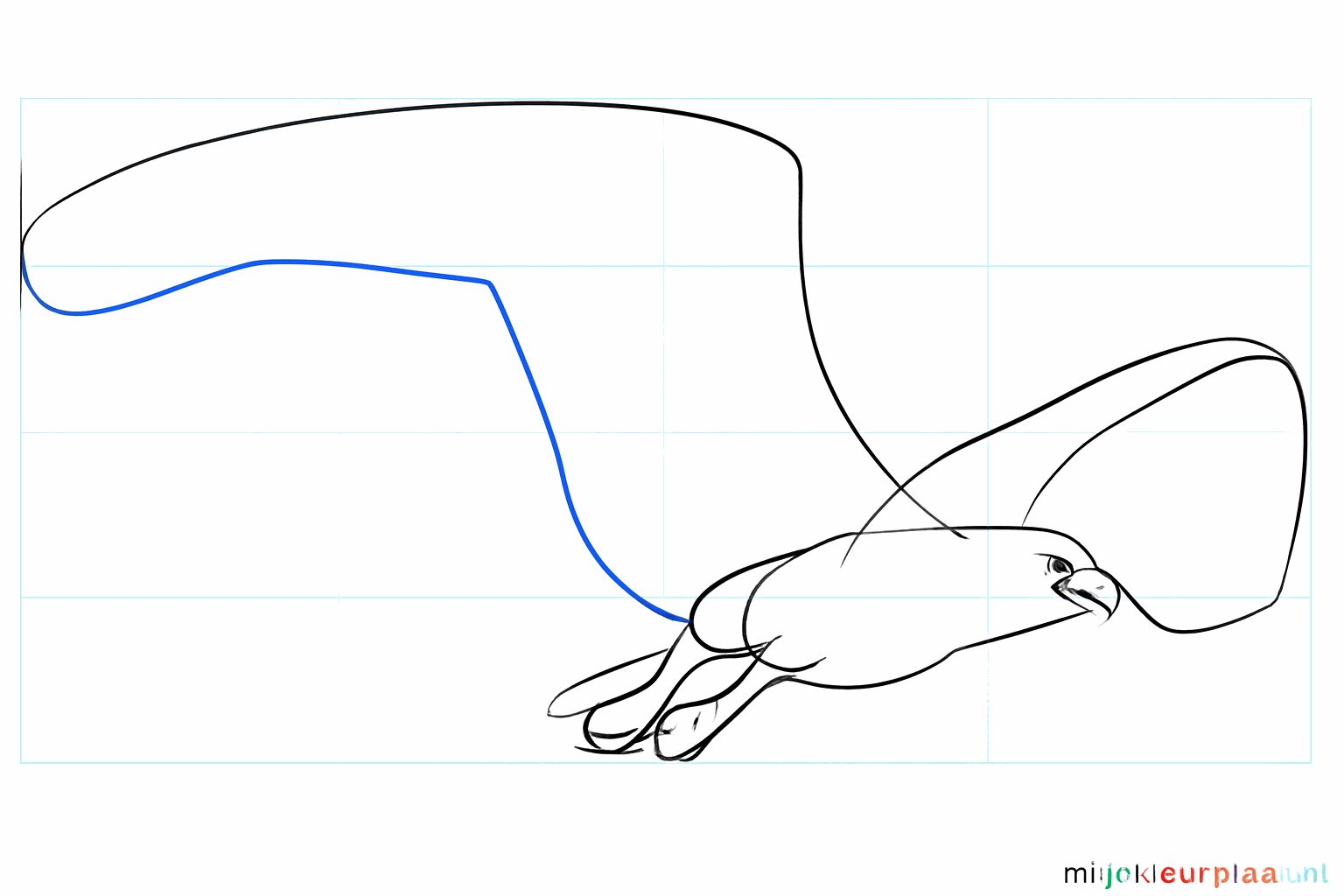 Shapes of the beak and the legs of the osprey.