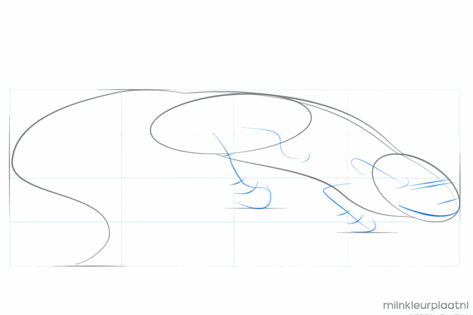 Een lange gebogen lijn die de vorm van de staart aangeeft.
