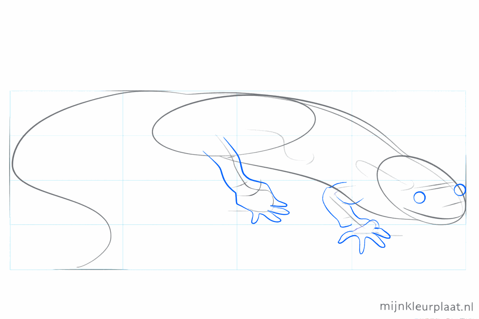 Kleine streepjes bij het lijf die laten zien waar de poten komen.