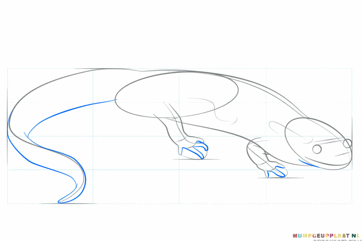 De vormen van de pootjes en een oogje op de kop van de salamander.