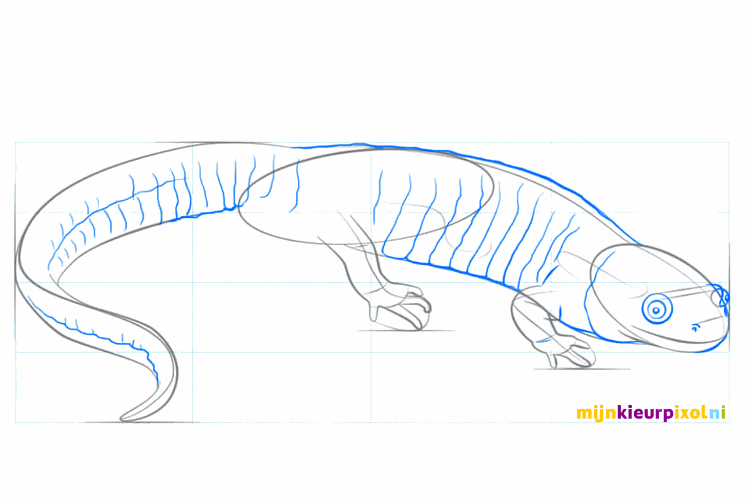 Details van de tenen en een volle vorm van de staart.