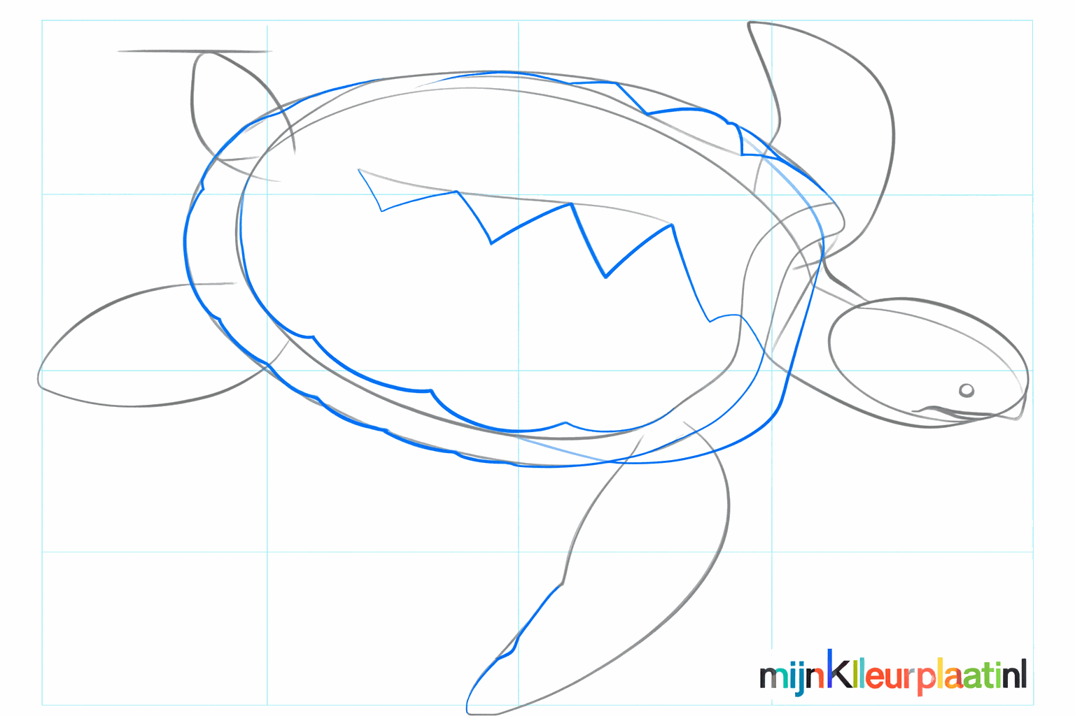 De achterpoten en een verfijnde vorm van de grote zwempoot aan de voorkant.