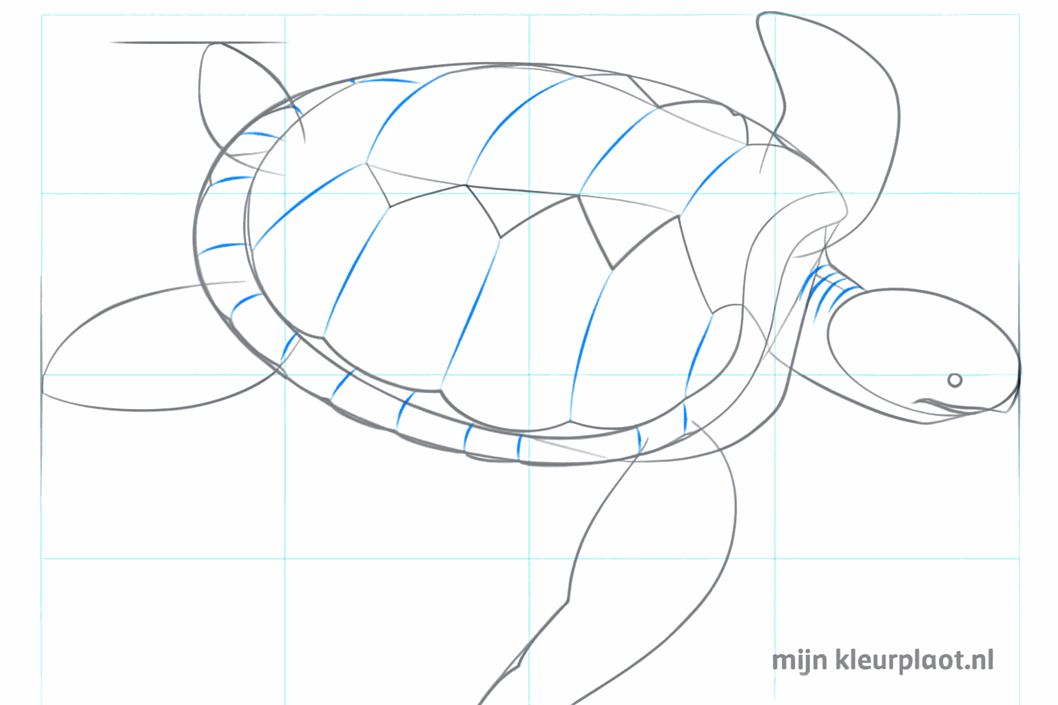 Het schild krijgt een dubbele rand voor meer diepte en stevigheid.