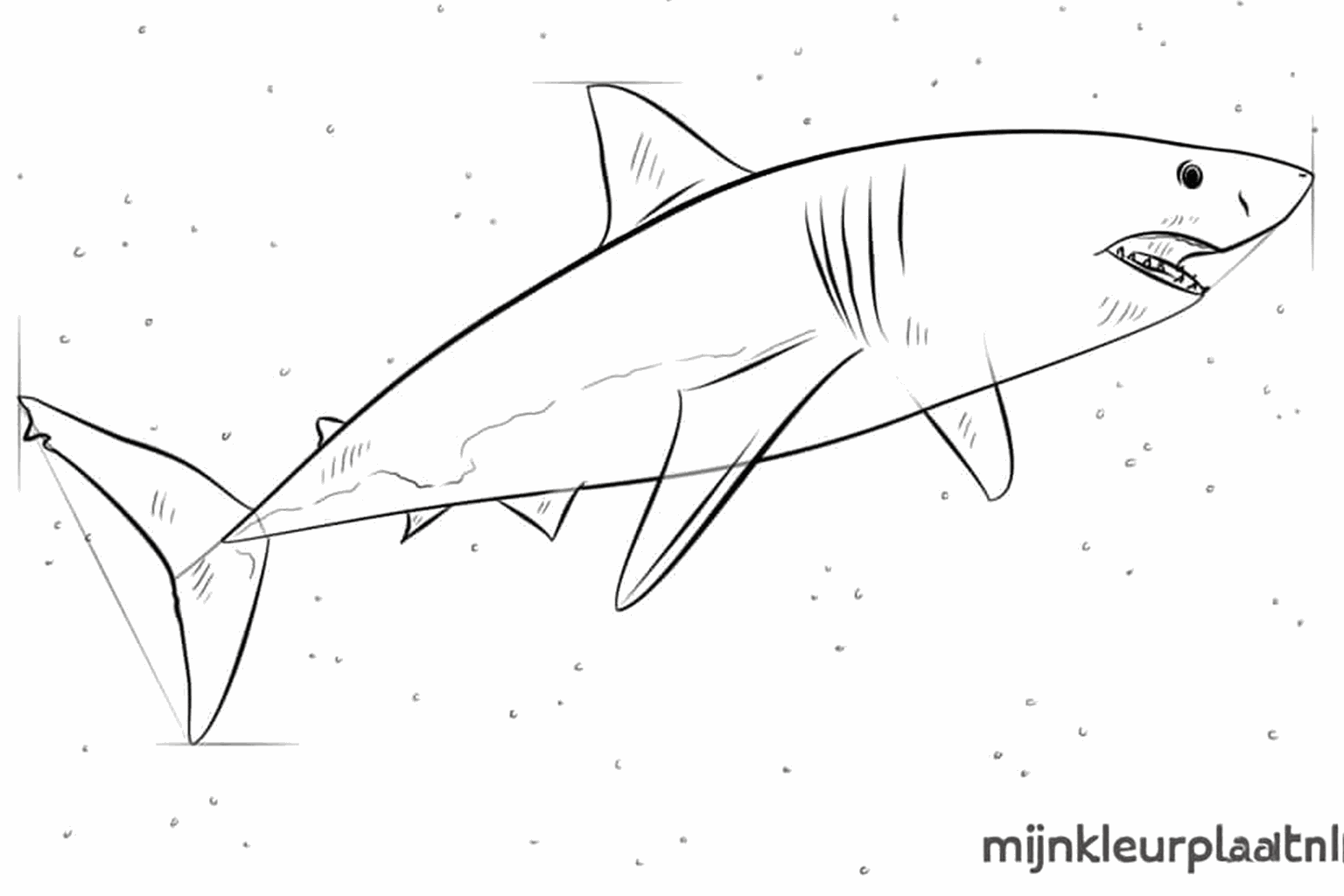 Scherpe tanden in de bek en een krachtige staartvin.