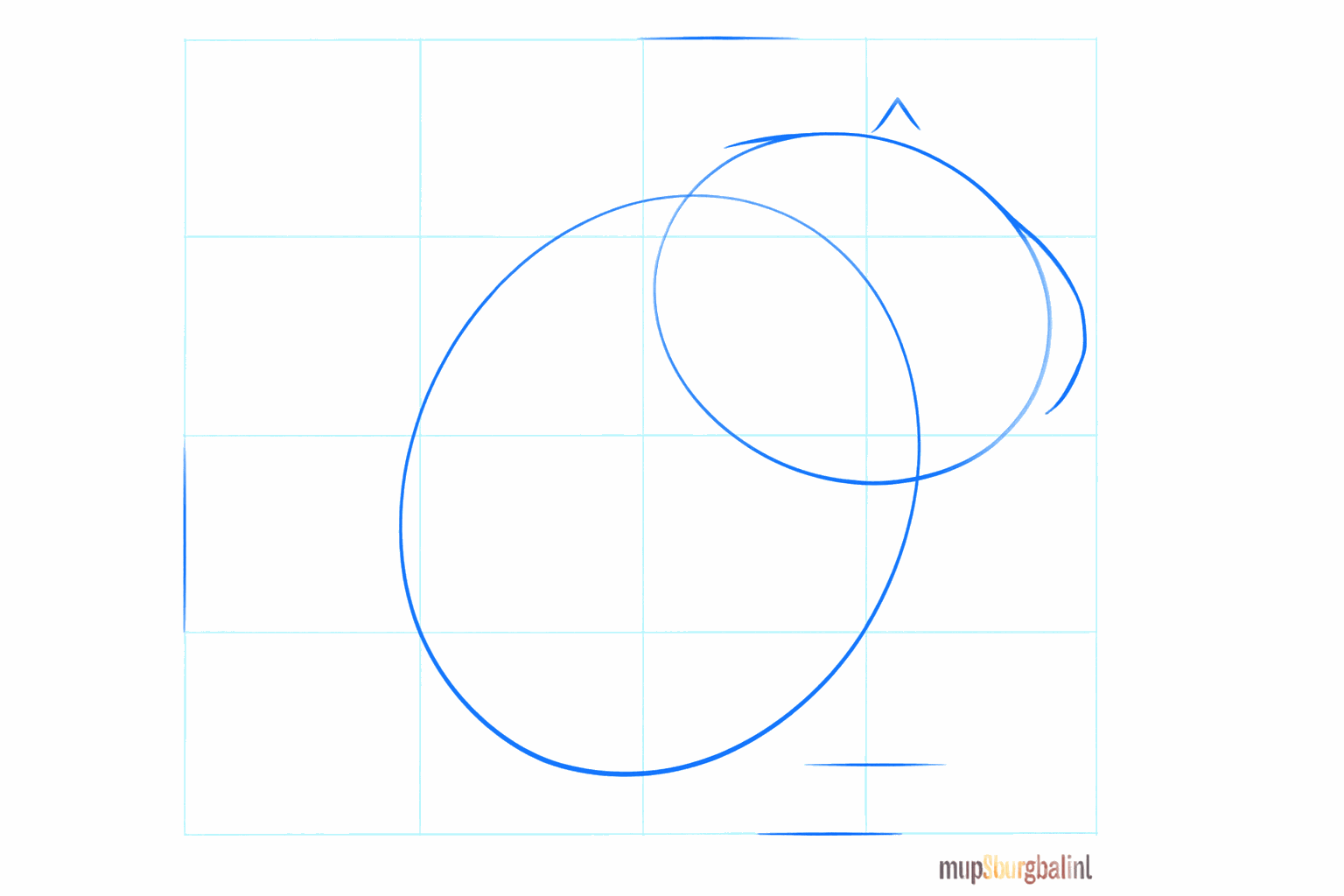 Twee ovalen voor de basis van de kop en het lichaam van de chinchilla.
